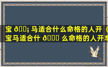 宝 🐡 马适合什么命格的人开（宝马适合什 🐎 么命格的人开车）